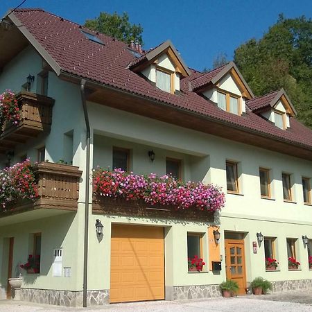 Apartmaji Hribar Pr'Ostank Kamnik Ngoại thất bức ảnh