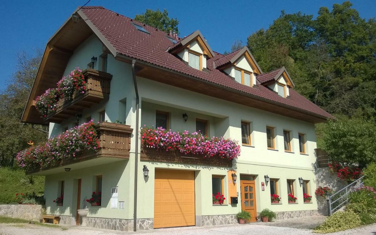 Apartmaji Hribar Pr'Ostank Kamnik Ngoại thất bức ảnh